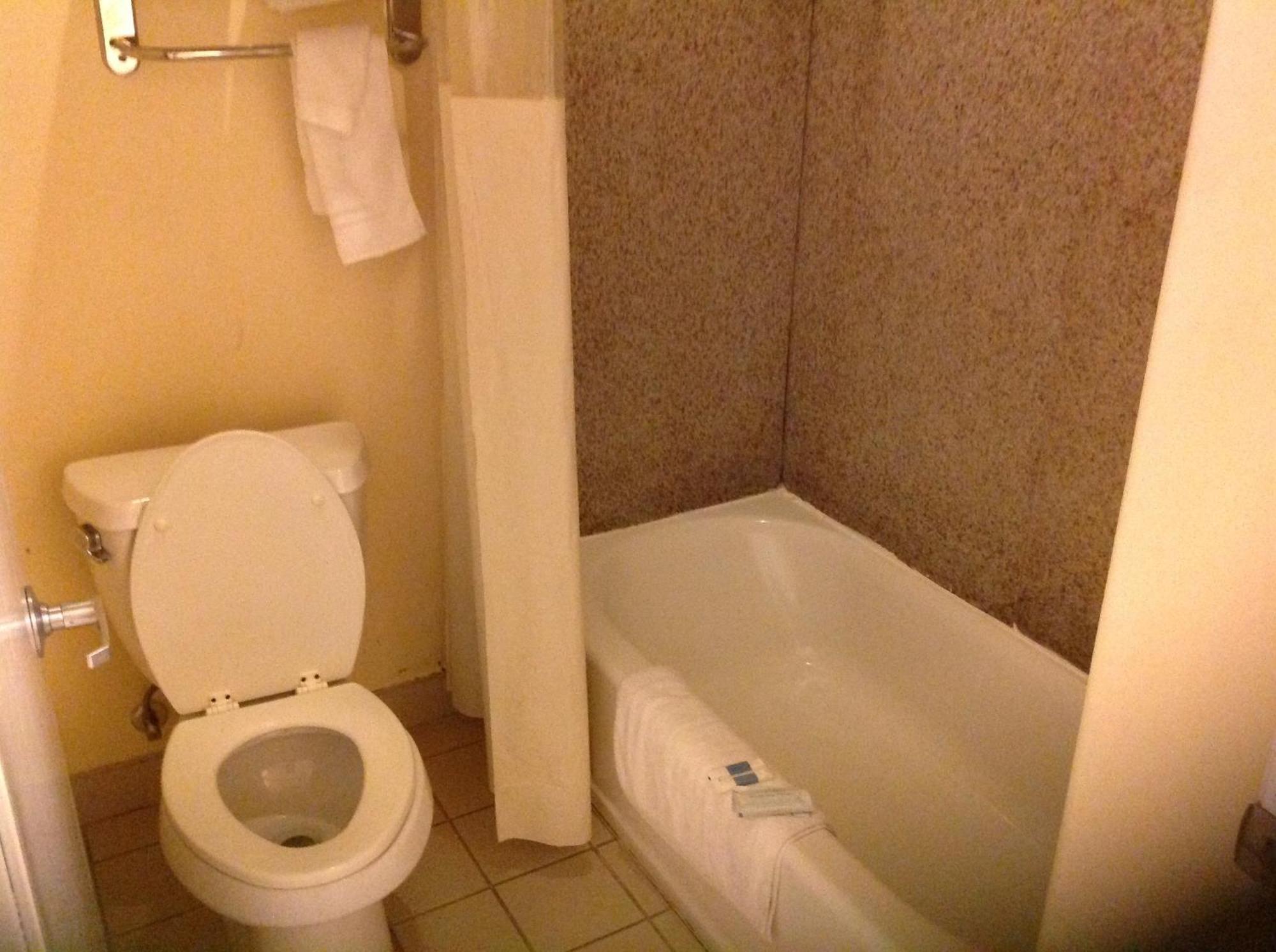 Executive Inn&Suites Shepherd Extérieur photo