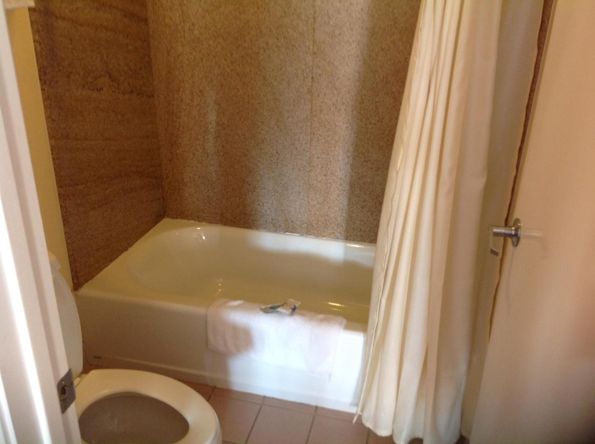 Executive Inn&Suites Shepherd Extérieur photo